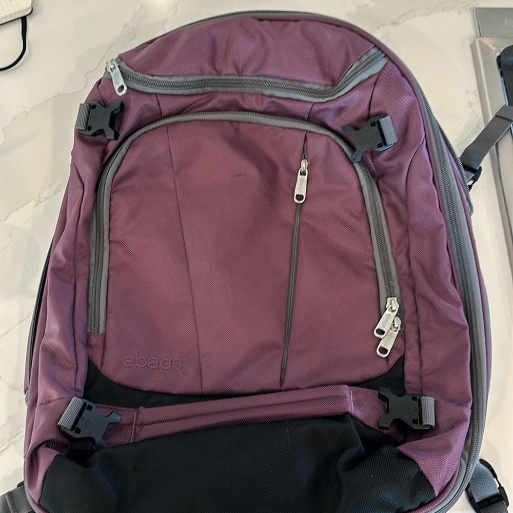 Ebags Plum Backpack with Multiple Pockets